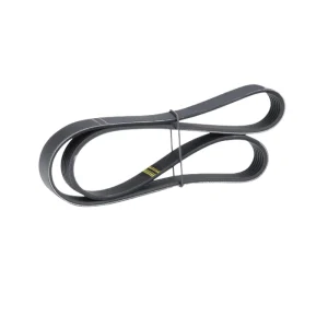 Drive Belt 775 4PK – Suitable for Kia Picanto