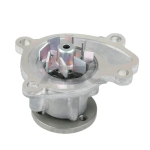 Water Pump 21010-EE025